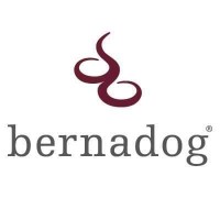 bernadog immobilien ag logo - Similar company to Reflecta Ag