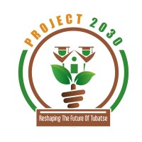 Project 2030 logo - Similar company to Berkeley Climate Change Network