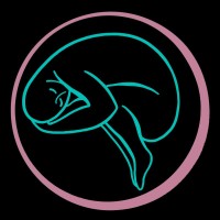 FRONS logo - Similar company to Boy Viny Express