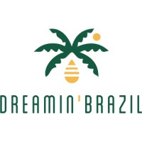 DreamInBrazil logo - Similar company to Dream:In