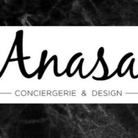 Anasa logo - Similar company to Domouk