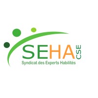 SEHA-CSE logo - Similar company to Dei Conseil