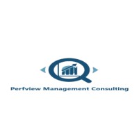 Perfview Management Consulting logo - Similar company to Fintrend Technologies
