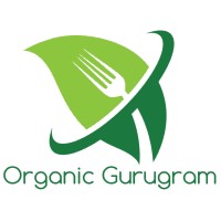 Organic Gurugram logo - Similar company to Organic Vibes