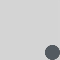 Acronym Foundation logo - Similar company to Flexa