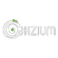 Akzium, LLC logo - Similar company to Tekvoro Technologies Private Limited