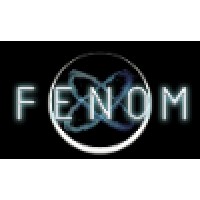 Fenom Llc