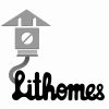 Lithomes logo - Similar company to Zayo