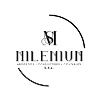 MILENIUM SRL logo - Similar company to Consultora Millenium Sas