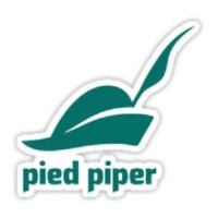 Pied Piper Plc logo - Similar company to Hooli