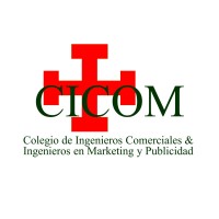 Colegio de Ingenieros Comerciales e Ingenieros en Marketing y Publicidad de Santa Cruz logo - Similar company to Sociedad De Ingenieros De Bolivia Departamental Santa Cruz