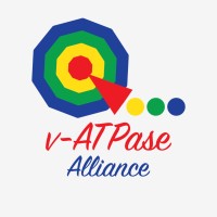 v-ATPase Alliance logo - Similar company to Dds Mediapro