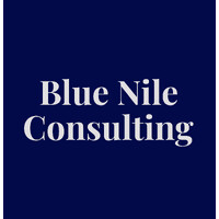Blue Nile Consulting logo - Similar company to Didi Emerging Technologies Club