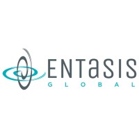Entasis Global logo - Similar company to Entasis
