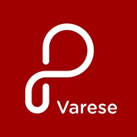 Python Varese logo - Similar company to Varese Corsi