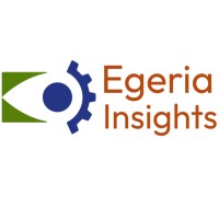 Egeria Insights logo - Similar company to Hetoli