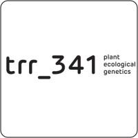 CRC TRR341 