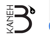 Kaneh -B Labs logo - Similar company to Psc Group
