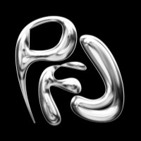 PORTFOLIO FASHION LAB logo - Similar company to Caracterre!