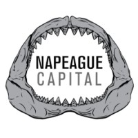 Napeague Capital, LLC logo - Similar company to Btn Partners