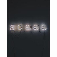 SCAAA logo - Similar company to Diald Ai