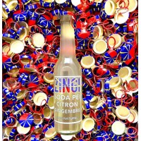 Zingi logo - Similar company to Colleen-It