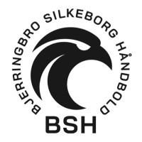 Bjerringbro-Silkeborg Håndbold logo - Similar company to Sah