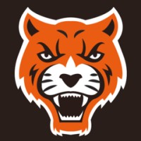TIGER Innovation LLC logo - Similar company to Rela Artwork Solutions