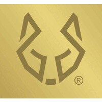 BeWolf Consultoria Empresarial logo - Similar company to Appmake Soluções Tecnológicas