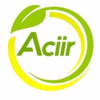 ACIIR Asociación Colombiana de Ingenieros Inspectores del RETIE y RETILAP logo - Similar company to Epei Peru