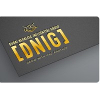 DNIG-Dubai Nepalese Influential Group logo - Similar company to Edglobex