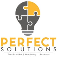 Perfect Solutions logo - Similar company to Perfect Solution