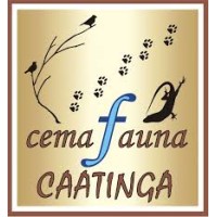 Centro de Conservação e Manejo de Fauna da Caatinga logo - Similar company to Projeto Rural Sustentável Caatinga