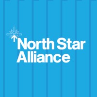 North Star Alliance logo - Similar company to Techlit Solutions