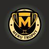 Meru Trophy logo - Similar company to Md Enterprises Global