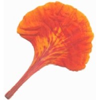 Gulmohar Health Care Private Limited logo - Similar company to Medhoc