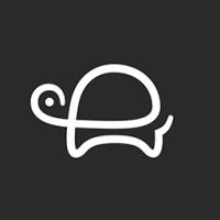 Turtle Talent logo - Similar company to Turtle