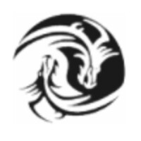 Innovative Dragon Group logo - Similar company to Imagemark