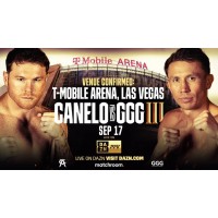 Boxing Tonight logo - Similar company to Gorilla Vinny Training And Fitness