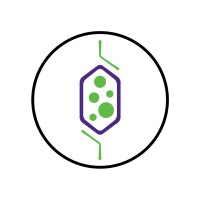 Rubisco Research & Consulting logo - Similar company to Rubisco