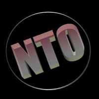 NANCY THE ORGANIZER logo - Similar company to Horderly Professional Organizing