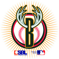 Brookhaven Bucks logo - Similar company to Funeral Guide