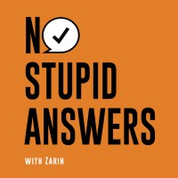 No Stupid Answers logo - Similar company to Translator