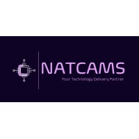 Natcams Consulting logo - Similar company to Desirable Futures