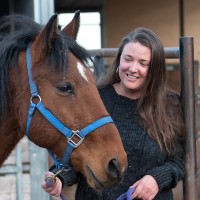 Equine Guidance® | logo - Similar company to Coaching Leads