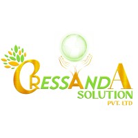 Cressanda Solution Pvt Ltd logo - Similar company to Param Seva Foundation