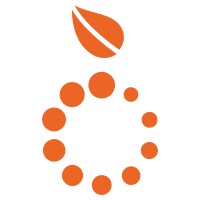 Pomlo logo - Similar company to Cyber-Flow