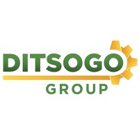Ditsogo Group Pty Ltd logo - Similar company to Tsogomath