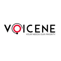 Voicene Technologies LLP logo - Similar company to Vijay Software