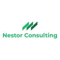Nestor Consulting Private Limited logo - Similar company to Nestor Consulting Pte Ltd.